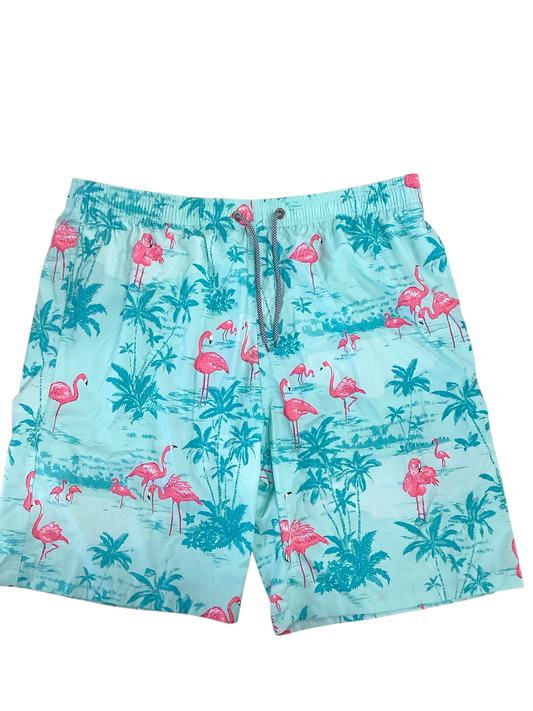 Fruit Of Loom Men's SwimTrunks Aqua 2XL
