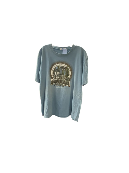 Princess Cruises Men's Shirt Blue XL