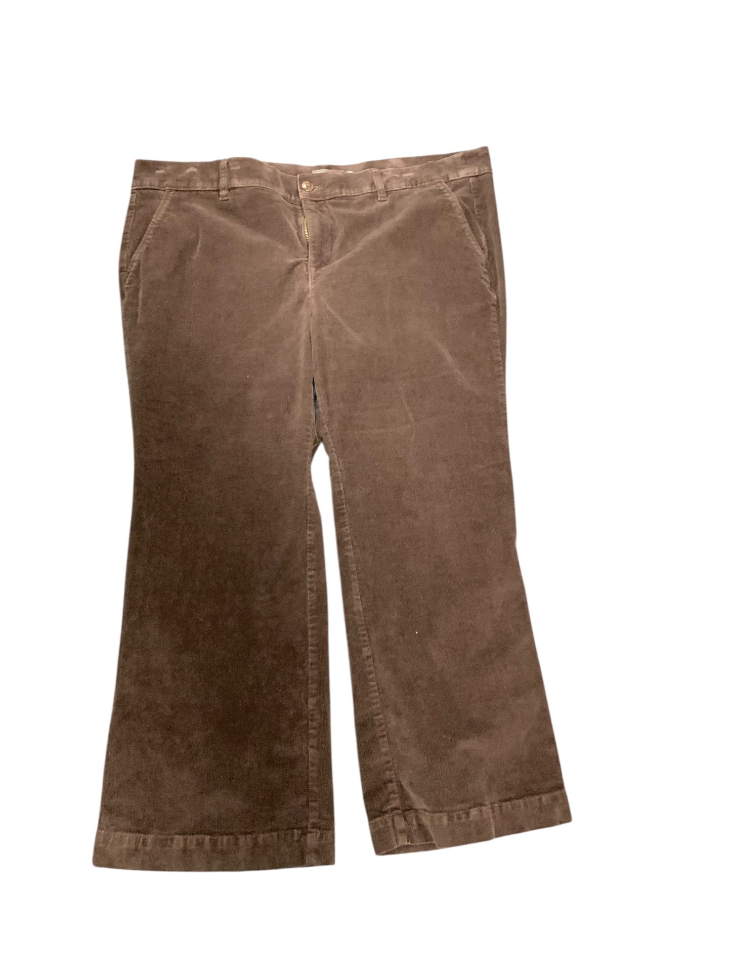 Torrid Women's 5pkt Cord Brown 22S=2X