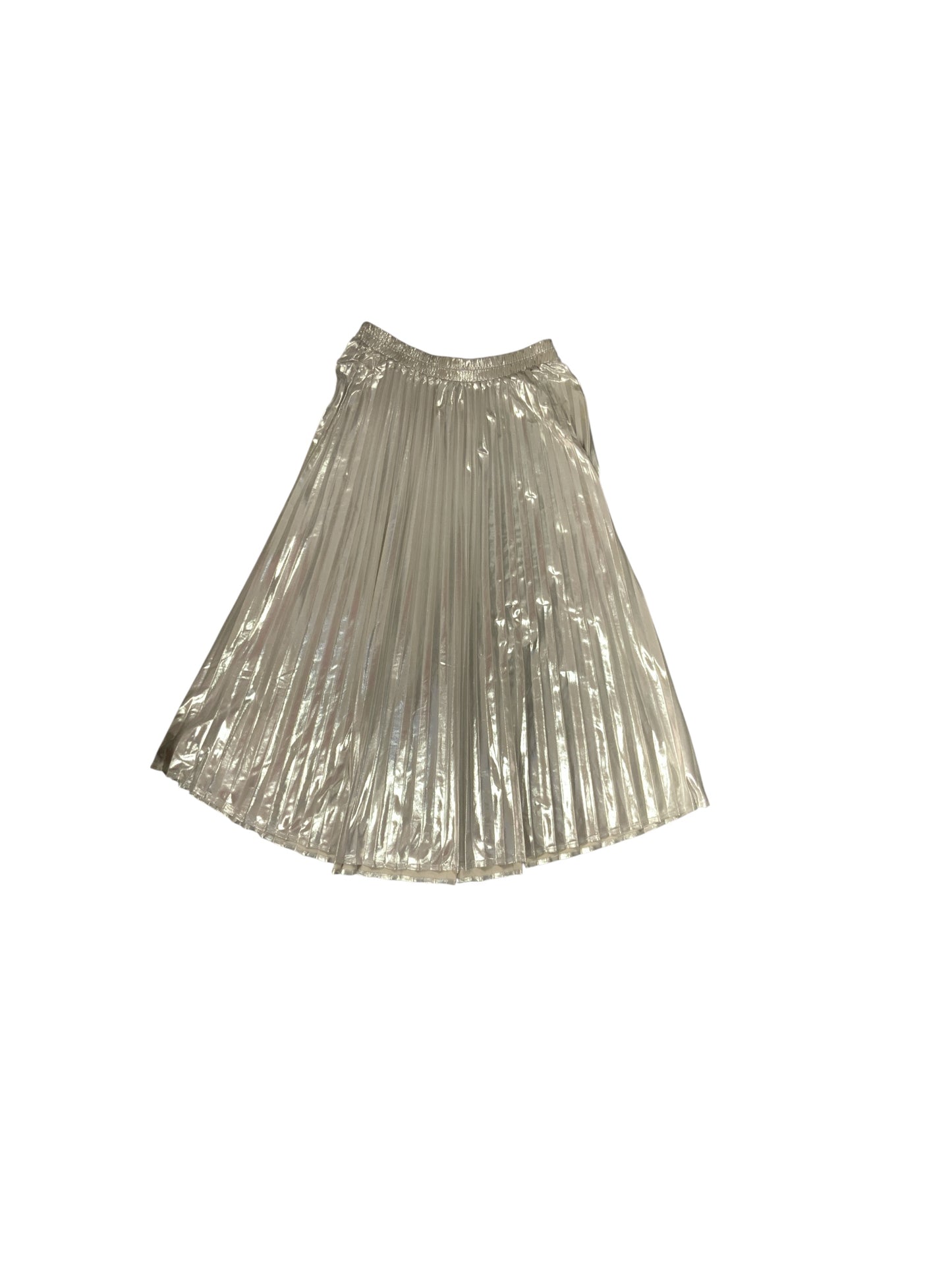 Tullea Women's Skirt Silver S