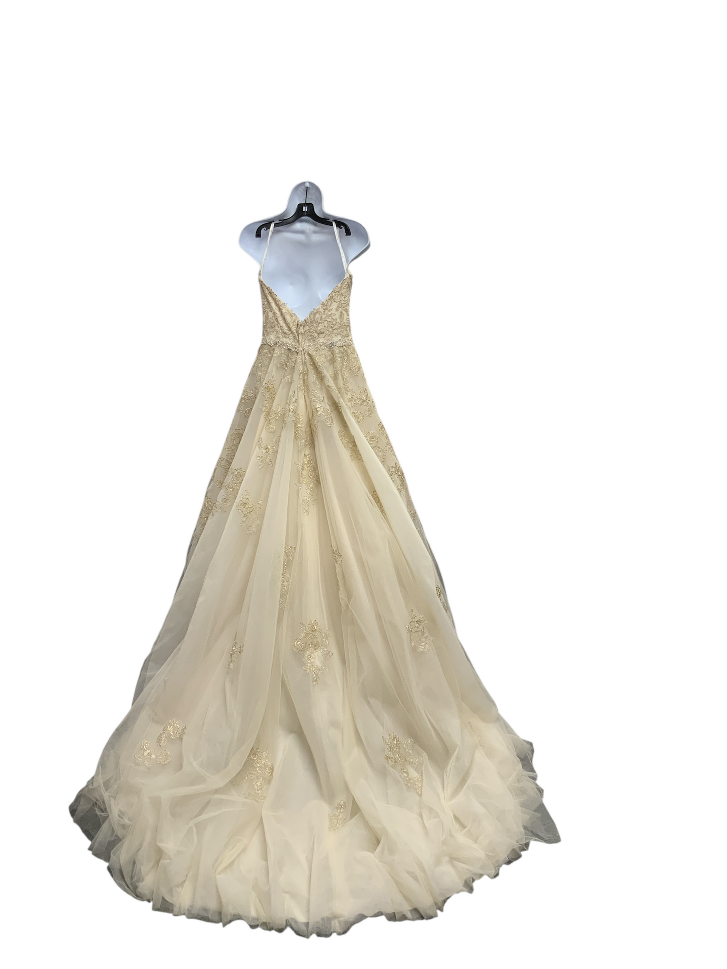 Ella Rosa Women's Bridal Gown Cream 10=M