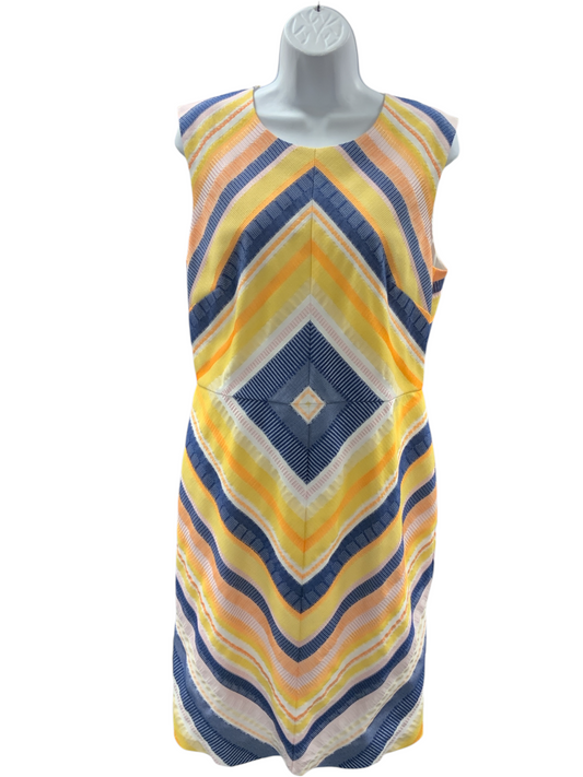Slate & Willow Women's Dress Stripe 12