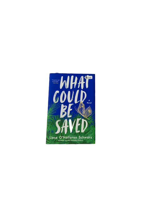 What Could Be Saved