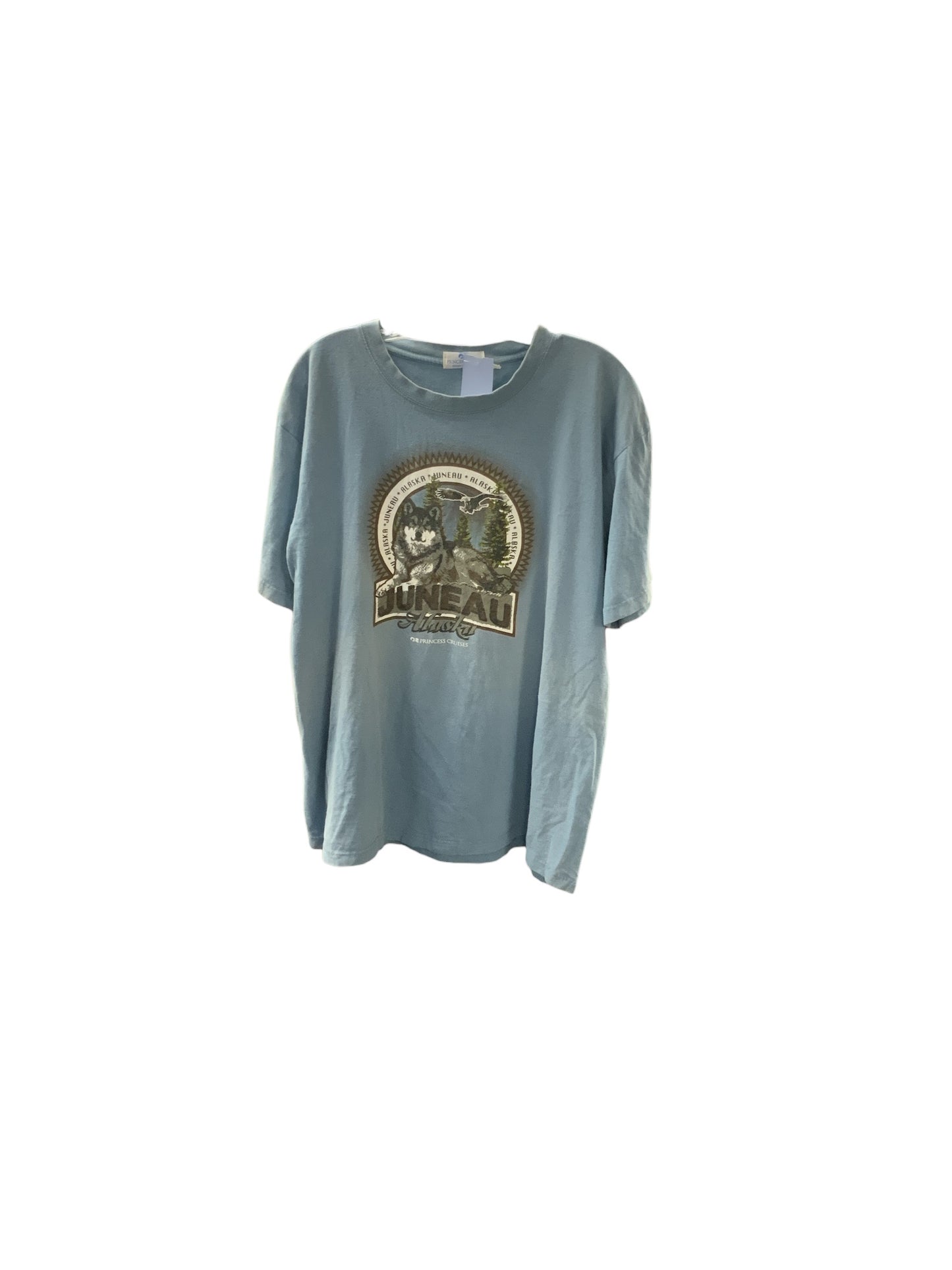 Princess Cruises Men's Shirt Blue XL