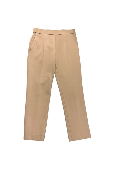 Ann Taylor Pant Camel Knit SP