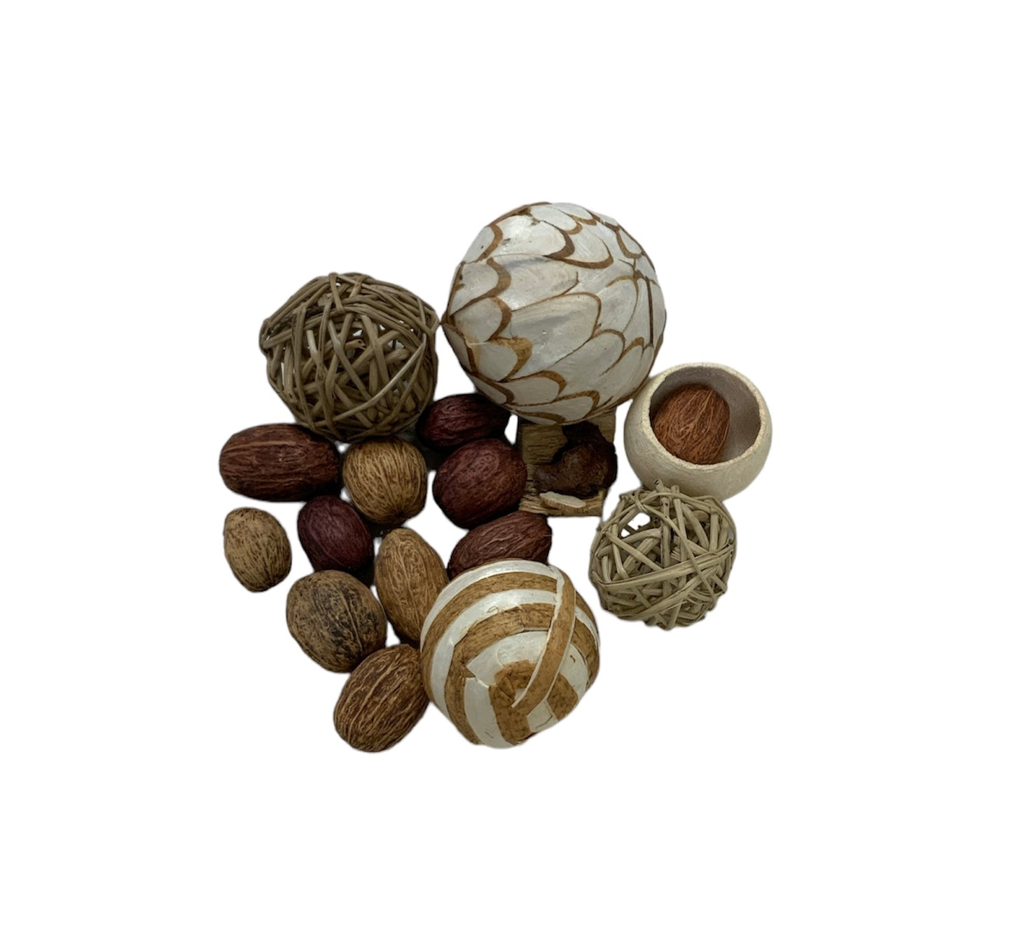 Decorative Pecans and Cone Collection