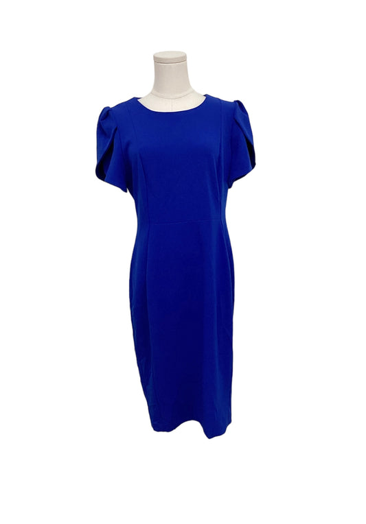 Calvin Klein Women's Blue Dress 12