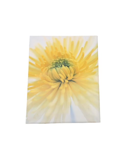 Ikea Chrysanthemum Print 15"x19"