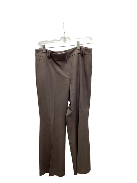 Loft Women's Pant Brown 8P